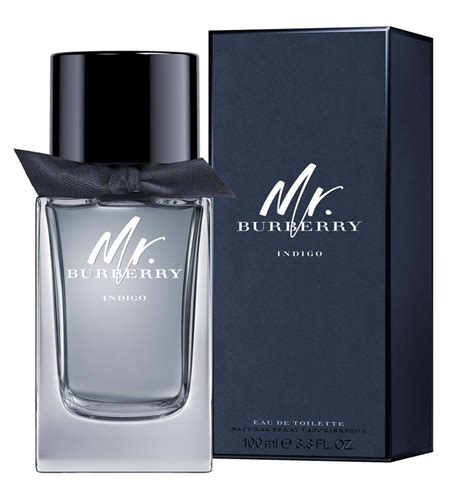 mr burberry by burberry for men|Burberry mr Burberry cologne.